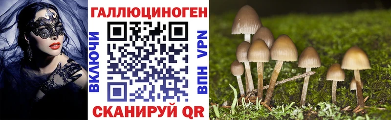 наркота  Фролово  Галлюциногенные грибы MAGIC MUSHROOMS 